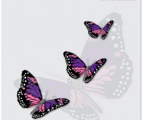 Charming butterflies with butterfly background vector graphics 04