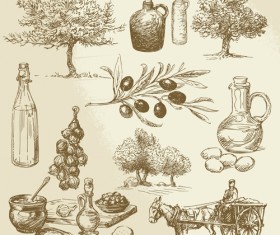 Drawing foods retro illustrations vector 11