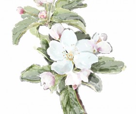 Drawn watercolor flower art background vector set 02