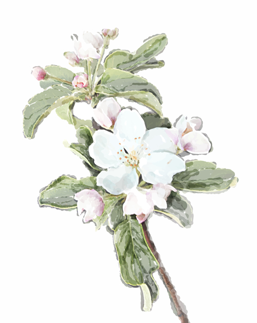 Drawn watercolor flower art background vector set 02