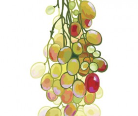 Excellent hand drawn grapes vector graphics 04