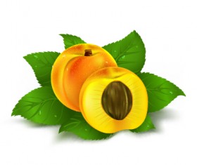 Fresh yellow peach creative vector