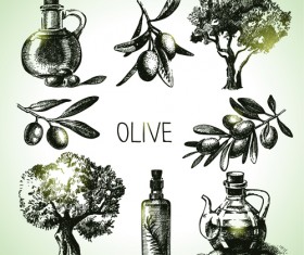Hand drawn olive elements vector icons