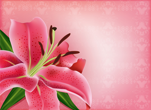 Huge collection of beautiful flower vector graphics 03