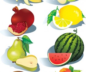Realistic fruits icons vector material 01