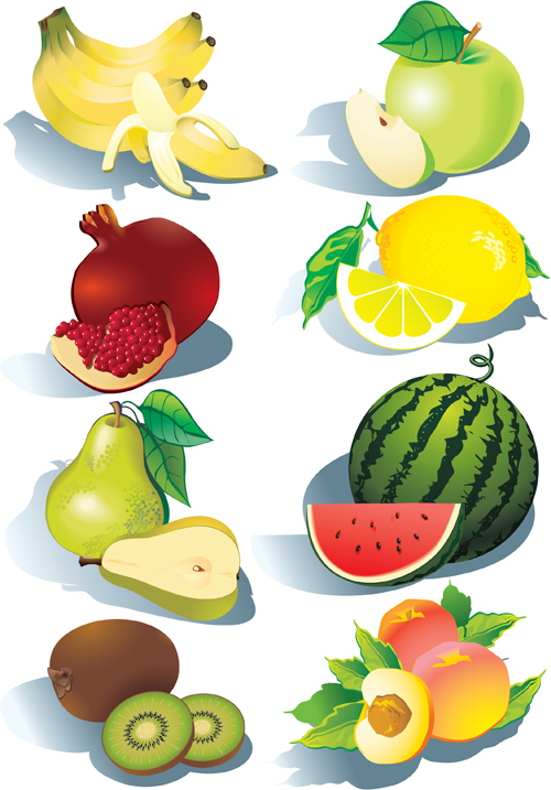 Realistic fruits icons vector material 01