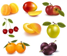 Realistic fruits icons vector material 02