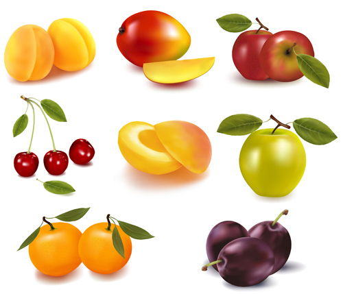 Realistic fruits icons vector material 02