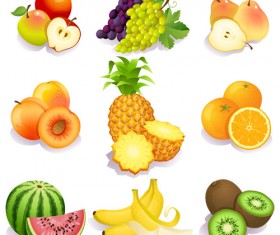 Realistic fruits icons vector material 03
