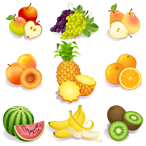 Realistic fruits icons vector material 03
