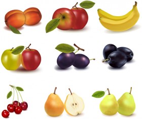 Realistic fruits icons vector material 04