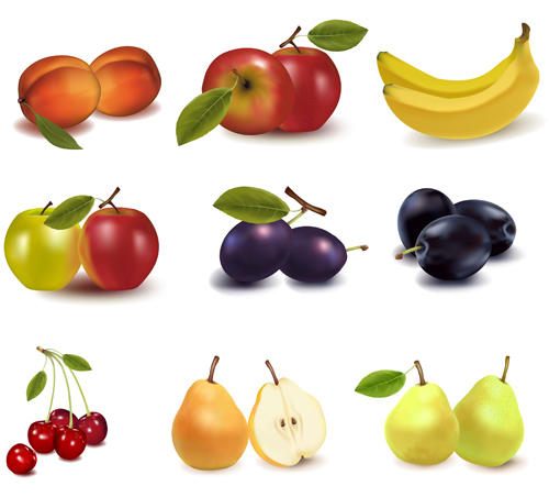 Realistic fruits icons vector material 04