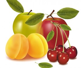 Shiny fruits creative vector graphics 01