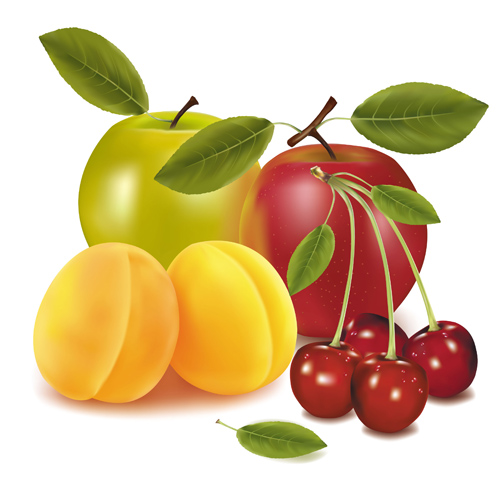 Shiny fruits creative vector graphics 01