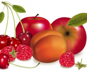 Shiny fruits creative vector graphics 02