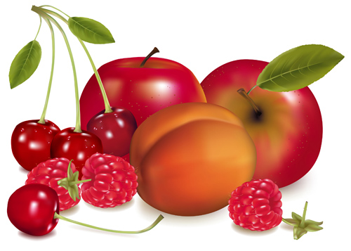 Shiny fruits creative vector graphics 02