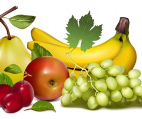 Shiny fruits creative vector graphics 03