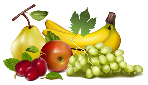 Shiny fruits creative vector graphics 03