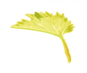 Simple grapes leaf design vector 03