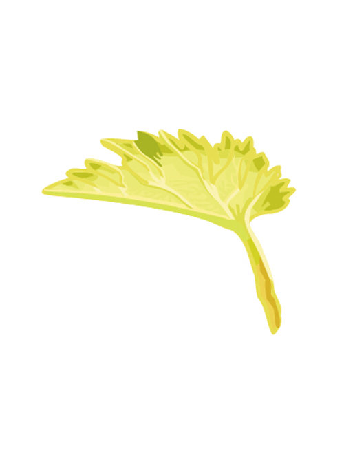 Simple grapes leaf design vector 03