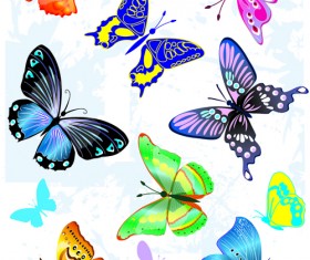 Sorts of butterflies clip art vector material 04