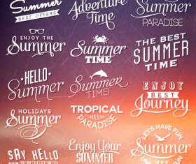 Summer holiday logos with labels vector 02
