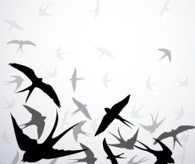 Swallow silhouette with gray background vector