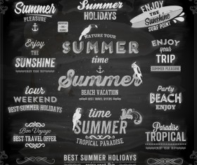 Vintage summer logos with ornaments design vector 01
