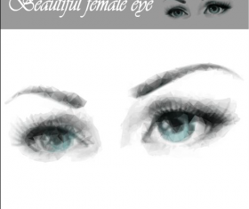 Beautiful female eye vector graphics