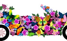 Beautiful floral car design graphics 08
