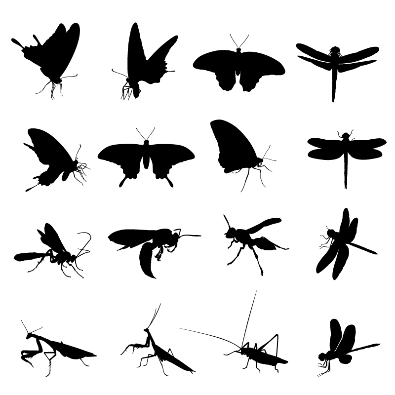 Different Insect silhouettes creative vector