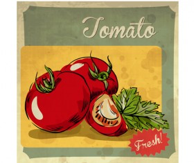 Fresh tomato retro style poster vector material 03