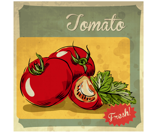 Fresh tomato retro style poster vector material 03