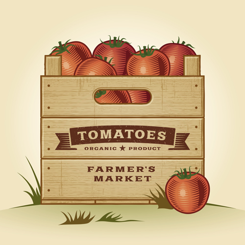 Fresh tomato retro style poster vector material 05