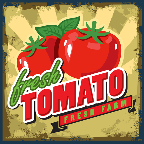 Fresh tomato retro style poster vector material 06