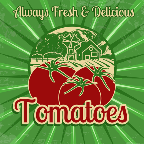 Fresh tomato retro style poster vector material 07
