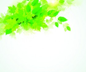 Green leaves with grunge background graphics vector 01