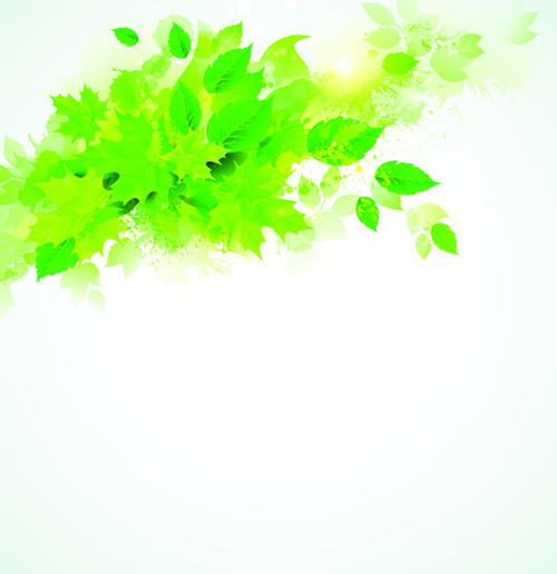Green leaves with grunge background graphics vector 01
