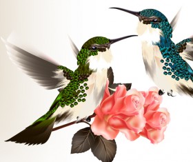 Hand drawn hummingbird vector material 02