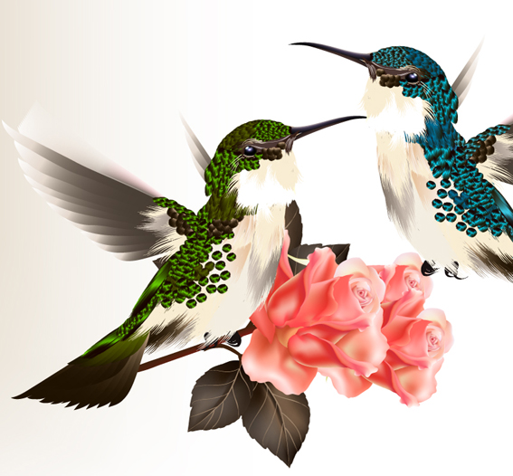 Hand drawn hummingbird vector material 02