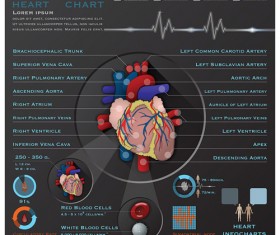 Heart infographics design vector material