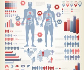 Human health infographics vector material 01