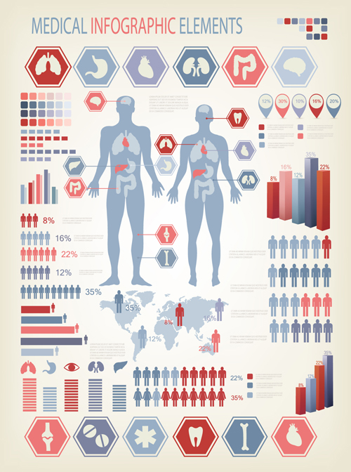 Human health infographics vector material 01