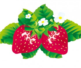 Juicy fresh strawberries set vector 01