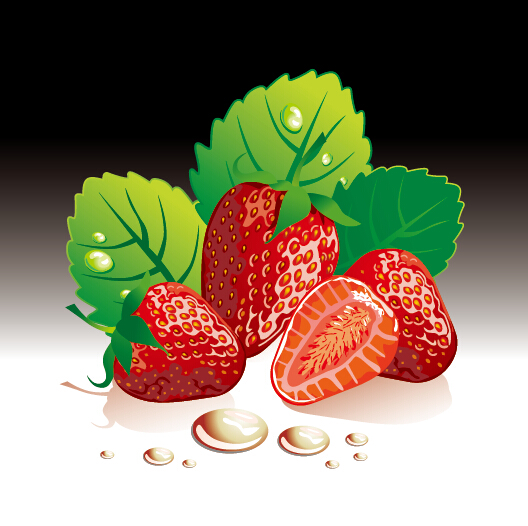 Juicy fresh strawberries set vector 02