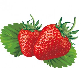 Juicy fresh strawberries set vector 03