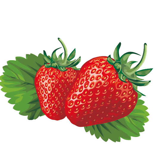 Juicy fresh strawberries set vector 03