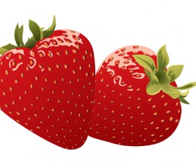 Juicy fresh strawberries set vector 04