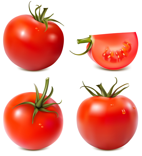 Juicy fresh tomato graphics vector 01