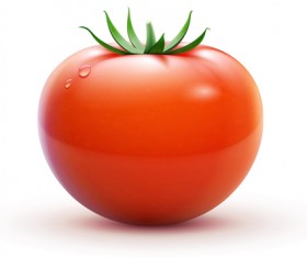 Juicy fresh tomato graphics vector 03